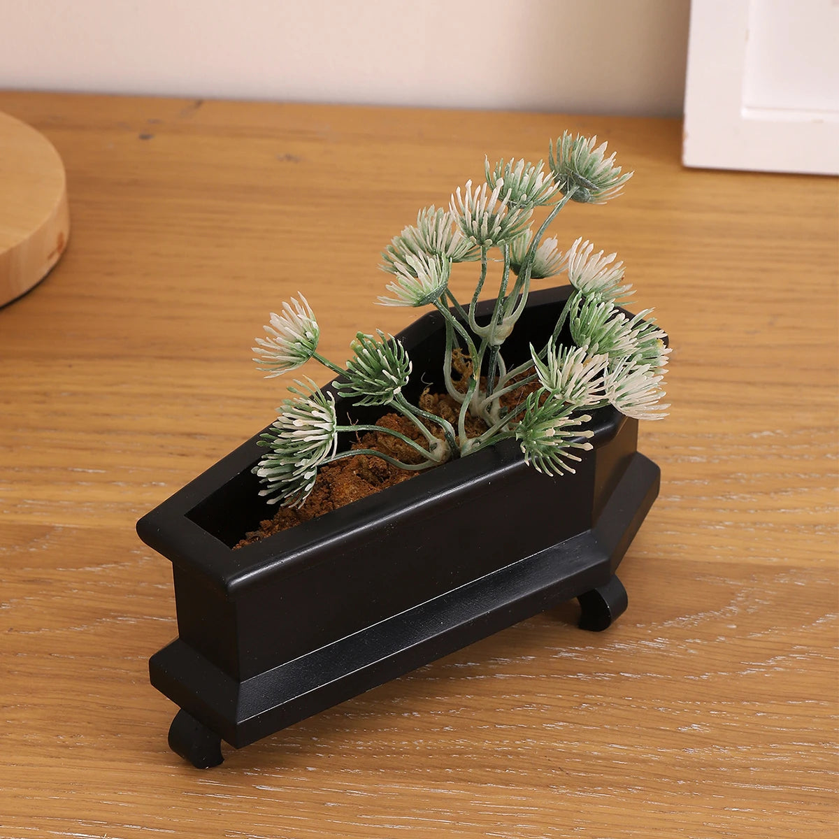 goth succulents Black or White Coffin Mini Goth Succulent Flower Planter – Rags n Rituals