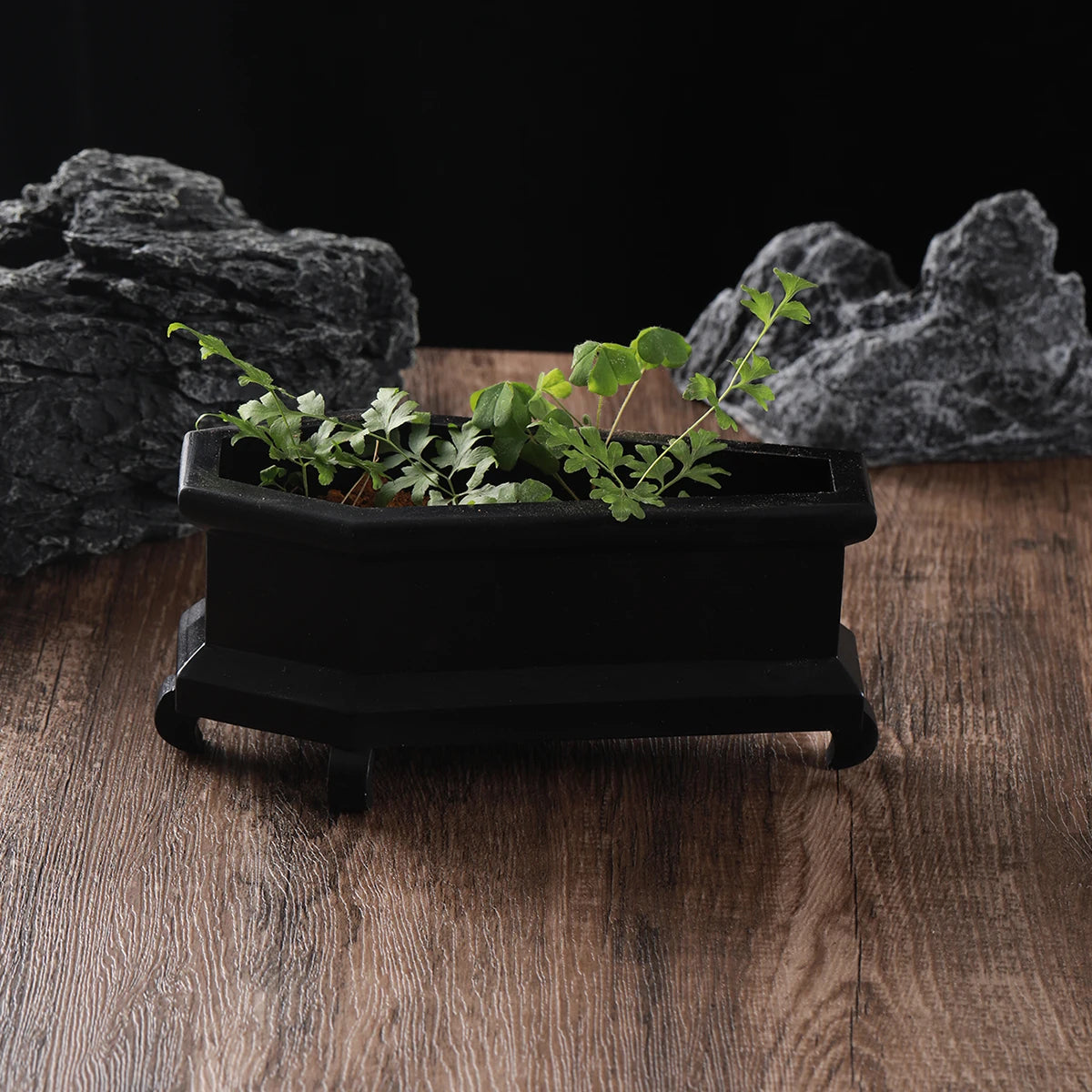 plant coffin flower pot Black or White Coffin Mini Goth Succulent Flower Planter