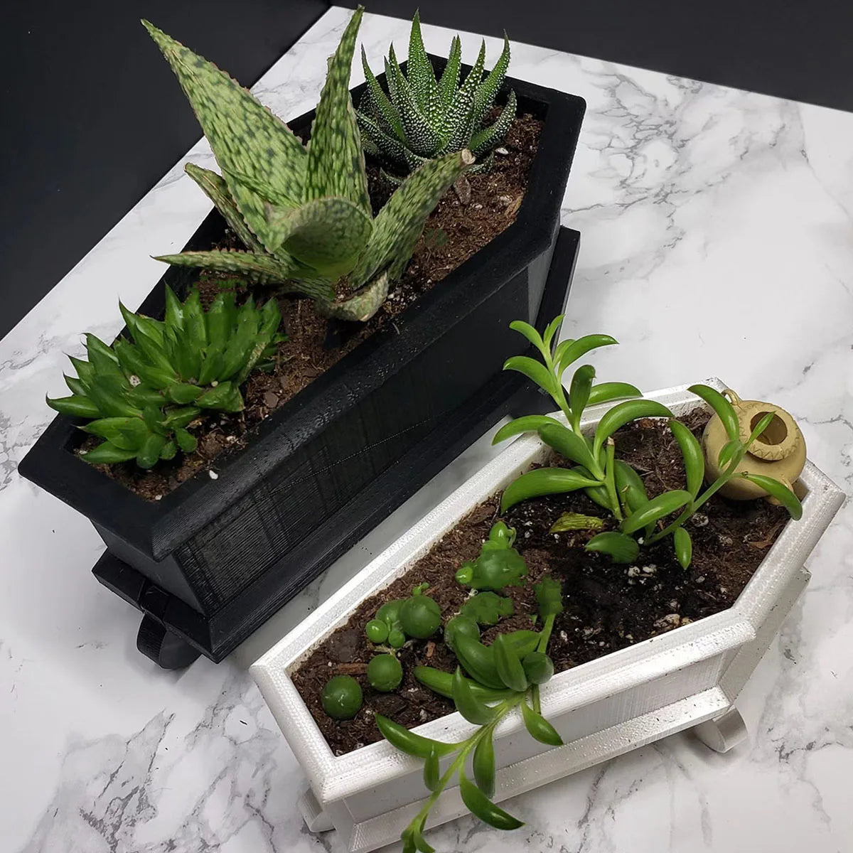 goth succulents Black or White Coffin Mini Goth Succulent Flower Planter