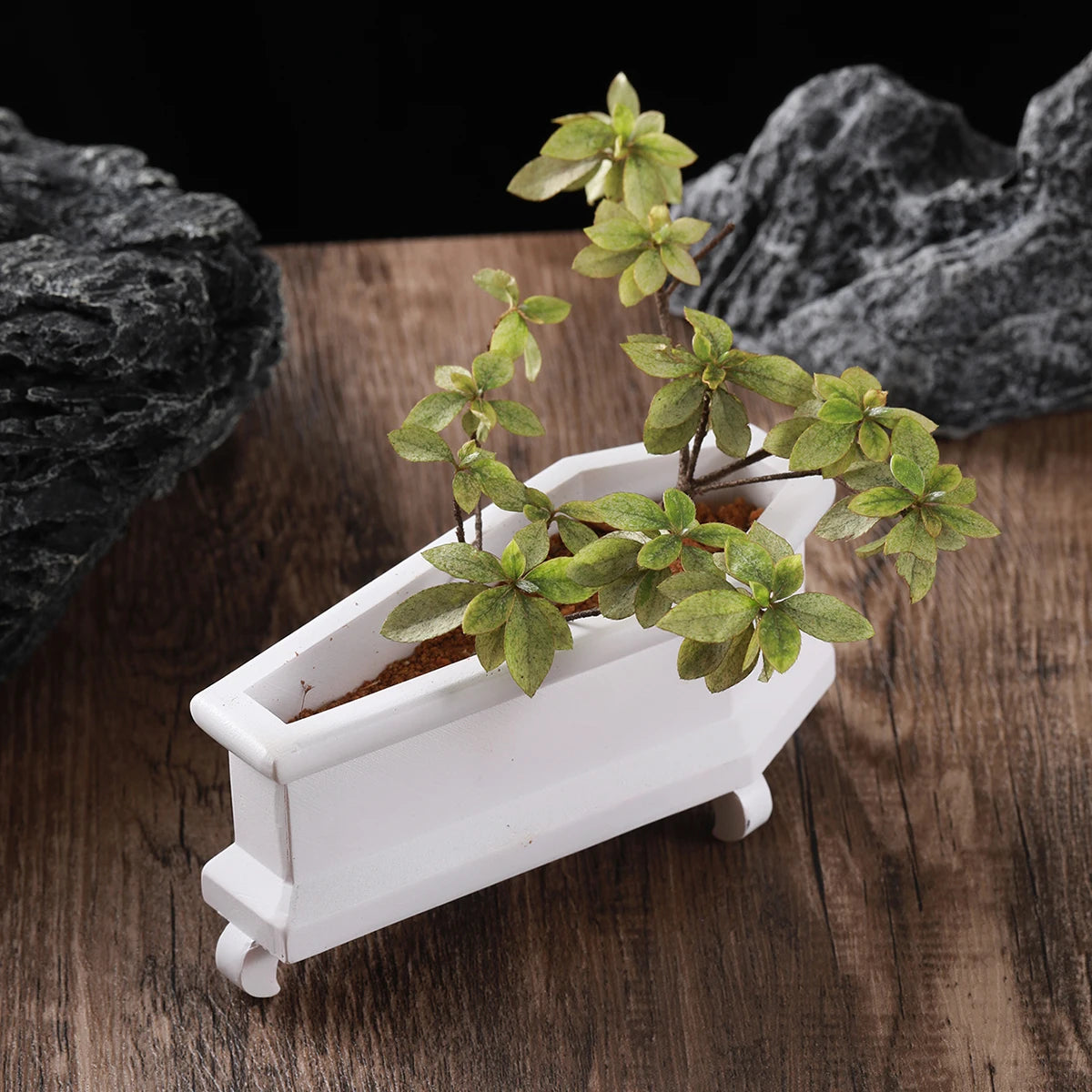 coffin plant pot Black or White Coffin Mini Goth Succulent Flower Planter