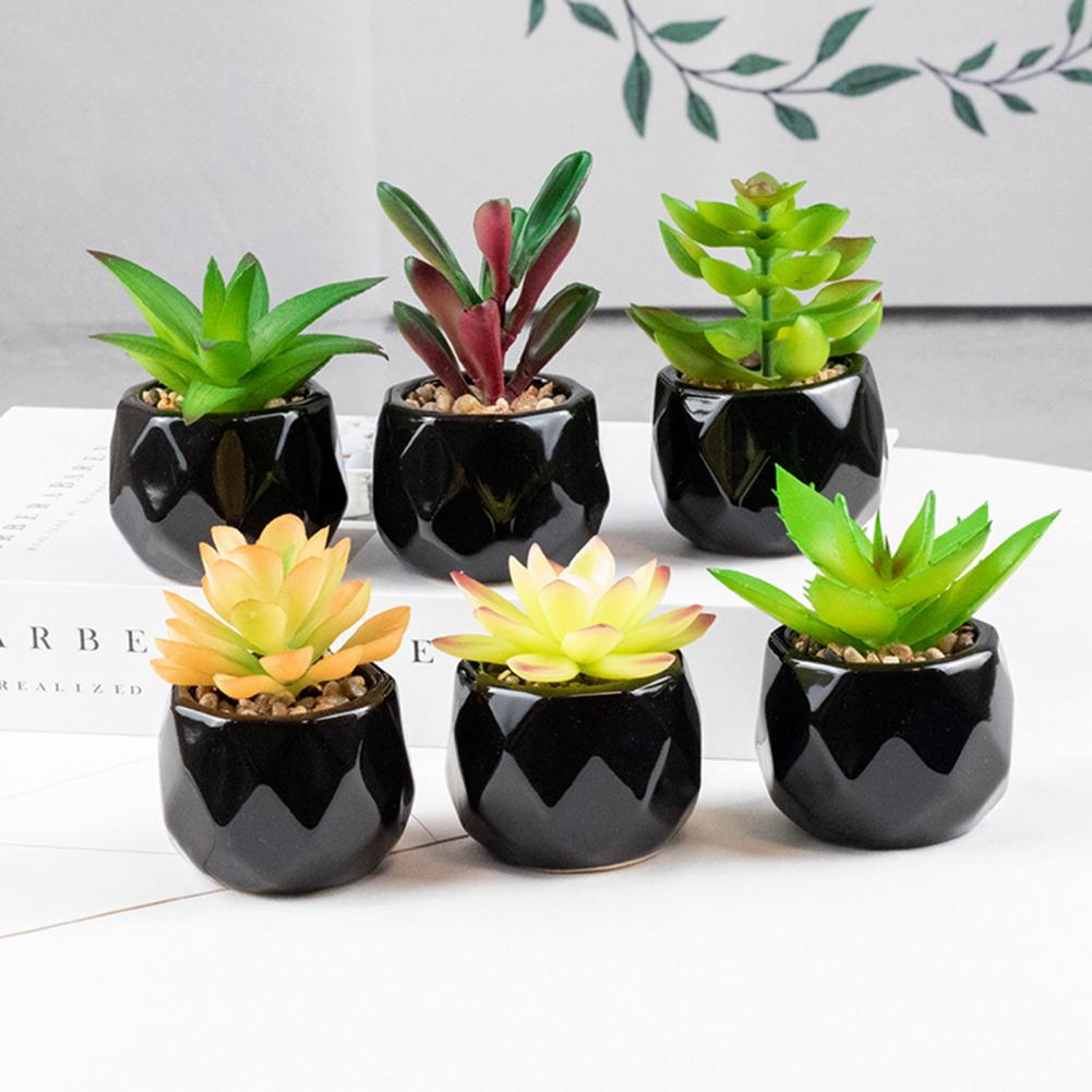 Artififical succulent in black pot, 11 different designs